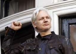 Assange's Lawyer Says Plans to Sue Ecuador Top Diplomat for Asylum Process Details Reveal