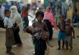 Senior US Official Alice Wells to Visit Refugee Camps in Bangladesh - State Department