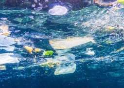 EU Parliament Steps Up to The Plate With Ban on Single-Use Plastics