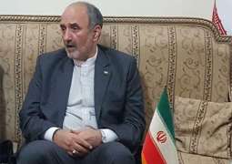 السفير الإيراني لدى باكستان يرحب بوساطة باكستان في حل النزاع بين اليمن والمملكة العربية السعودية