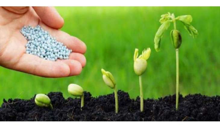 Engro Fertilizers to Plant 1 Million Trees