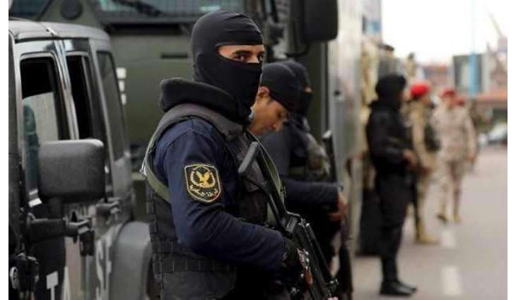 Egyptian Interior Ministry Eliminates 9 Extremists in South of Country - Statement