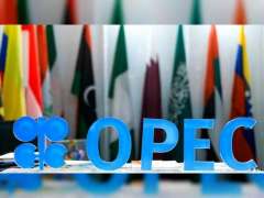 UAE non-oil private sector expanding: OPEC