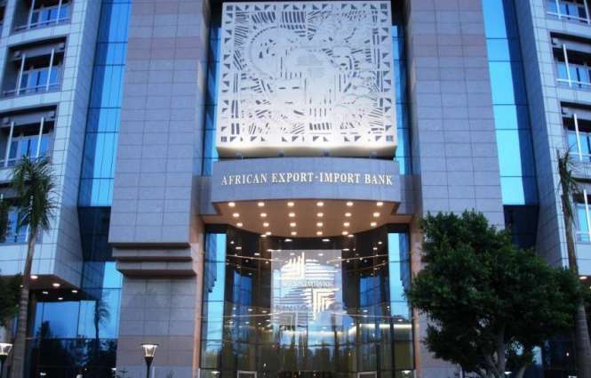 Africa Interested in Russia's Experience in Mining, Civil Aviation - Afreximbank