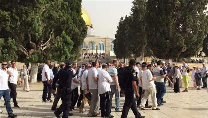 المستوطنون يصعدون من ممارساتهم الاستفزازية في القدس المحتلة
