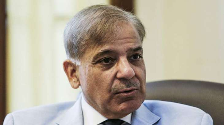 See newspapers, we have fully responded to Rana Mashhood’s statement: Shehbaz Sharif