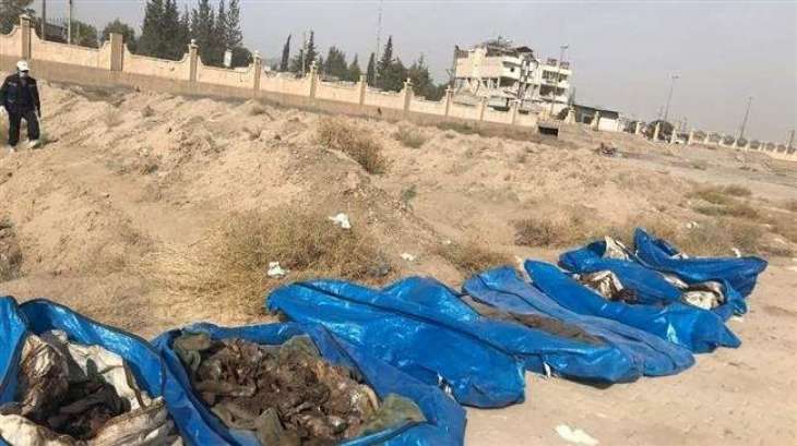 Largest Mass Grave of IS Victims Discovered in Syria's Raqqa - Rights Watchdog