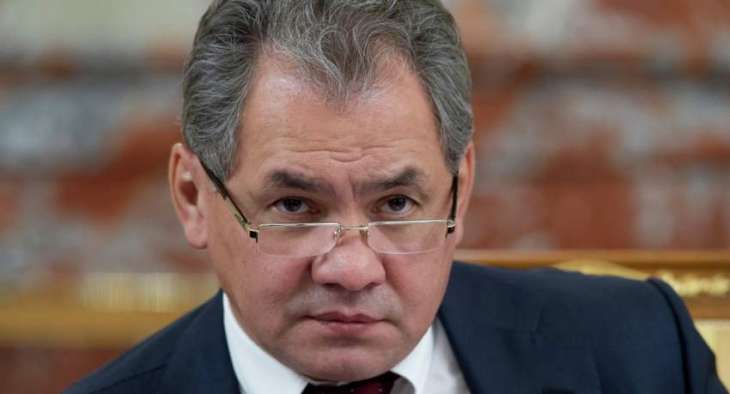 Russia's Shoigu Arrives in Singapore for ASEAN Defense Ministers' Meeting - Spokeswoman