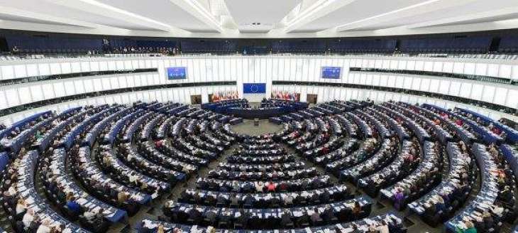EU Parliament Concerned Over Rising Xenophobia, Demands Ban on Neo-Nazi Groups