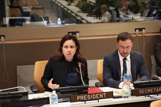 UAE: Peace, security won't be achieved without activating critical role of women