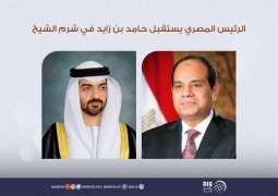 الرئيس المصري يستقبل حامد بن زايد في شرم الشيخ