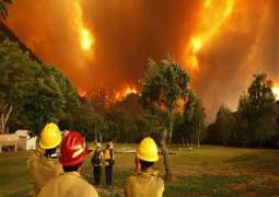 ارتفاع حصيلة ضحايا حرائق غابات كاليفورنيا الأمريكية إلى 9 قتلى