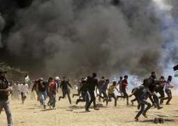 Egypt Urges Israel to Stop Military Operations in Gaza - Foreign Ministry