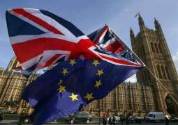 Three Quarters of Remain Voters Confident of Winning Second UK Vote on Withdrawal - Poll