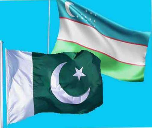باكستان وأوزبكستان تؤكدان استعدادهما لتسهيل ودعم عملية السلام الأفغانية