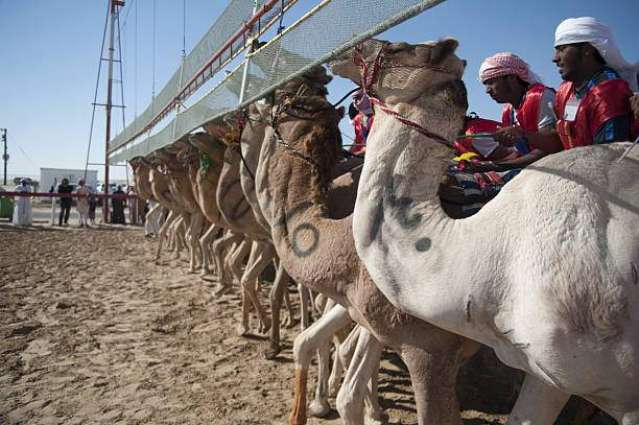 Sultan bin Zayed witnesses camel race
