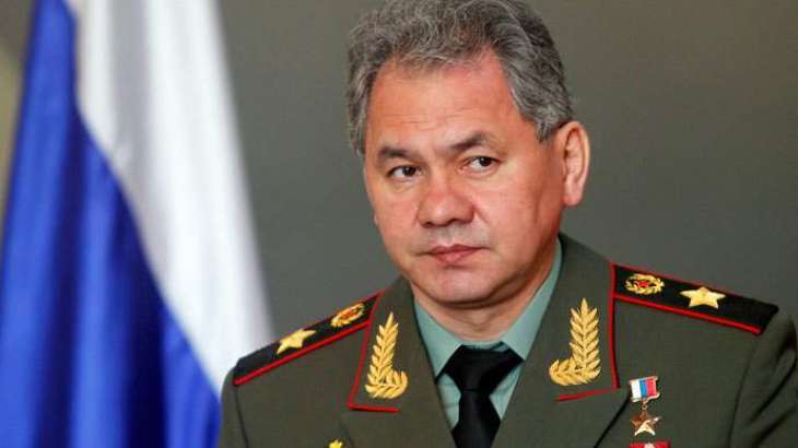 Shoigu, Haftar Discuss Situation in Libya, Middle East Security in Moscow Talks