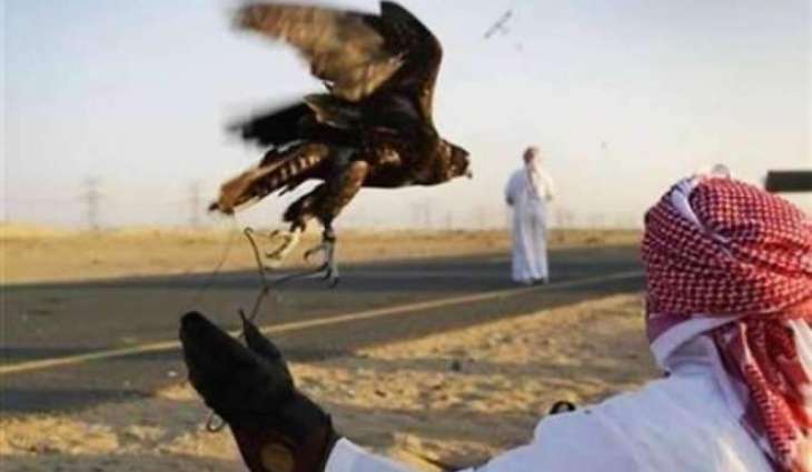 قطری شہزادے تلور دے شکار لئی ماہنی تھل اپڑ گئے،کساناں دا احتجاج
 قطری وفد وچ شہزادہ شیخ محمد بن خلیفہ سنے 10بندے شامل نیں