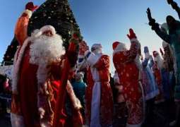 Russia's Ded Moroz to Meet Finnish Counterpart on December 20 - Press Service