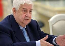 Syrian Foreign Minister Says Government to Focus on Terrorist Defeat in Idlib