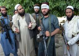 Ceasefire to Become First Topic of Potential Kabul-Taliban Peace Talks - Council