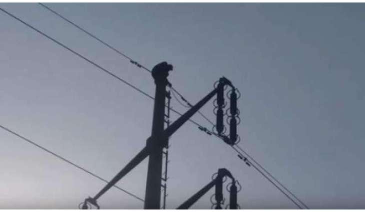 ویاہ دا خاہشمند نوجوان کھمبے اُتے چڑھ گیا