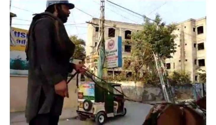 ٹریفک وارڈن دے ڈر توں کھوتا ریڑھی چلان والے دا دلچسپ کم،ویڈیو وائرل