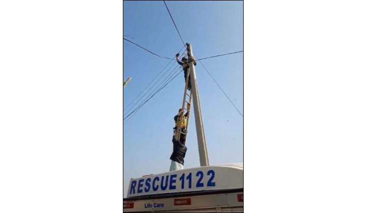 Rescue 1122 workers save bird stuck in electricity wires