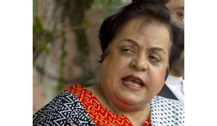 ڪنهن جو نالو ناجائز طور تي اي سي ايل ۾ وجهڻ درست قدم ناهن: ڊاڪٽر شيرين مزاري