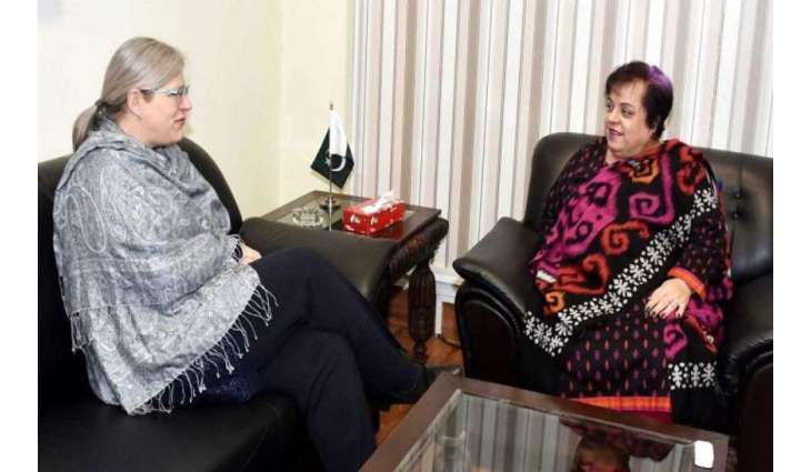 وفاقی وزیر انسانی حقوق ڈاکٹر شیریں مزاری نال کینیڈا دی ہائی کمشنر وینڈی گلموردی ملاقات