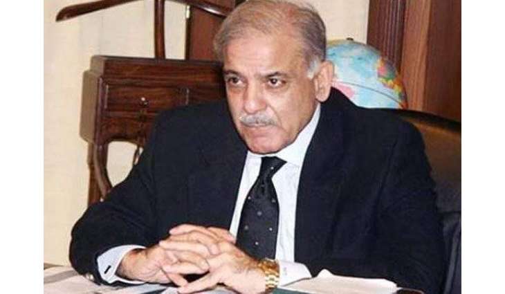 قومی اسمبلی اچ قائد حزب اختلاف محمد شہباز شریف اتفاق رائے نال پبلک اکاﺅنٹس کمیٹی دے چیئرمین منتخب
