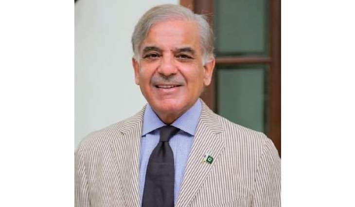 قومی اسمبلی اچ قائد حزب اختلاف محمد شہباز شریف اتفاق رائے نال پبلک اکاﺅنٹس کمیٹی دے چیئرمین منتخب