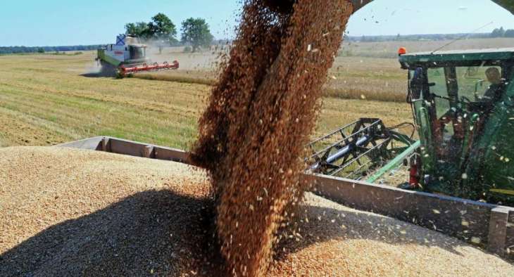 Russia's Wheat Export Surges 19.3% Year-on-Year Between July-Nov 29 - Agriculture Ministry