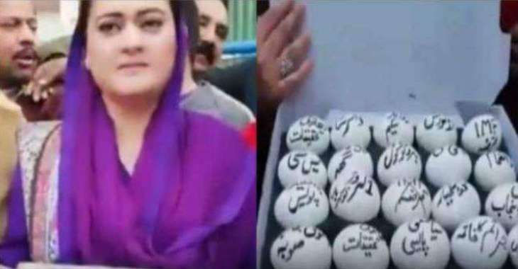 PML-N women protest with ‘eggs’ outside Accountability Court