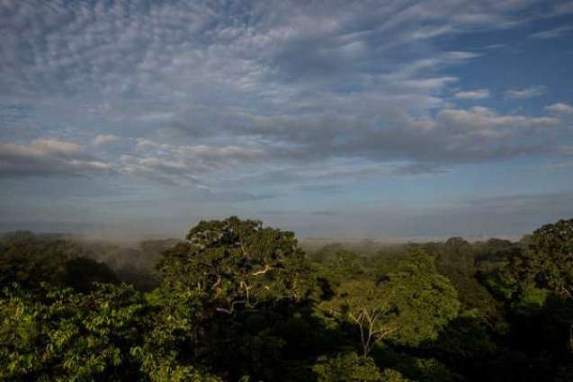 Costa Rica Environment Minister Calls on Tropical Countries to Curtail Deforestation