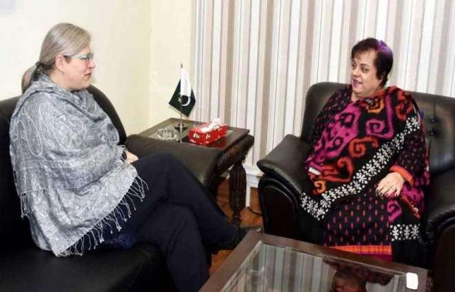 وفاقی وزیر انسانی حقوق ڈاکٹر شیریں مزاری نال کینیڈا دی ہائی کمشنر وینڈی گلموردی ملاقات