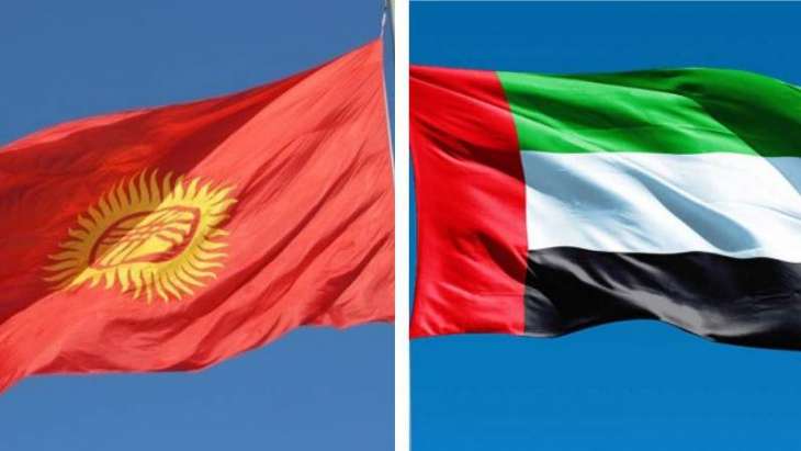 UAE, Kyrgyzstan advancing ties