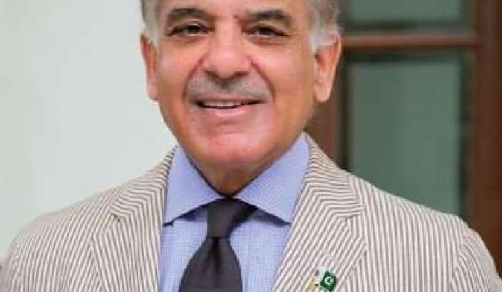 قومی اسمبلی اچ قائد حزب اختلاف محمد شہباز شریف اتفاق رائے نال پبلک اکاﺅنٹس کمیٹی دے چیئرمین منتخب