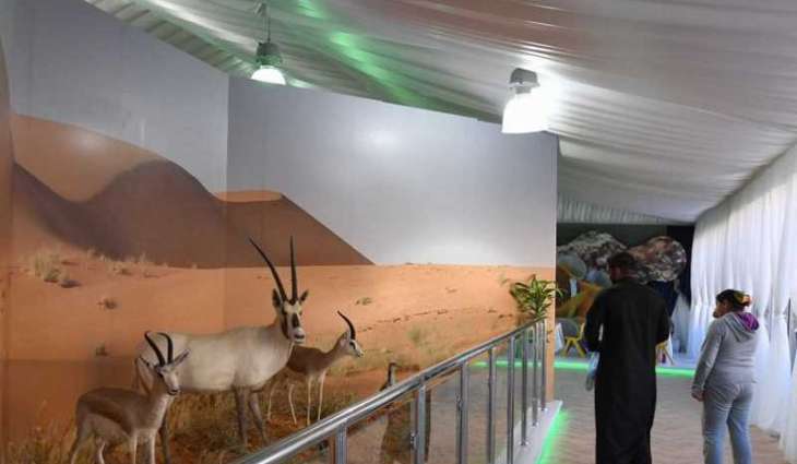 الهيئة السعودية للحياة الفطرية تعرض نماذج من المها العربي في الجنادرية