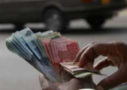 Man mistakenly chops cash amount while preparing fodder