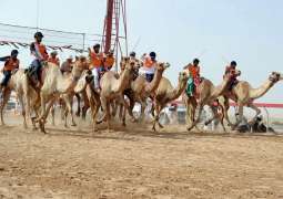 Supreme Organising Committee of Sultan bin Zayed Heritage Festival announces opening date for registration