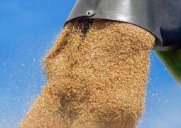 Russia Seeks to Increase Grain Exports to Mexico - Ambassador