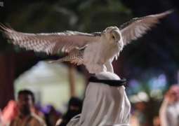 مهرجان الملك عبدالعزيز للصقور .. إرثٌ يتجدد
