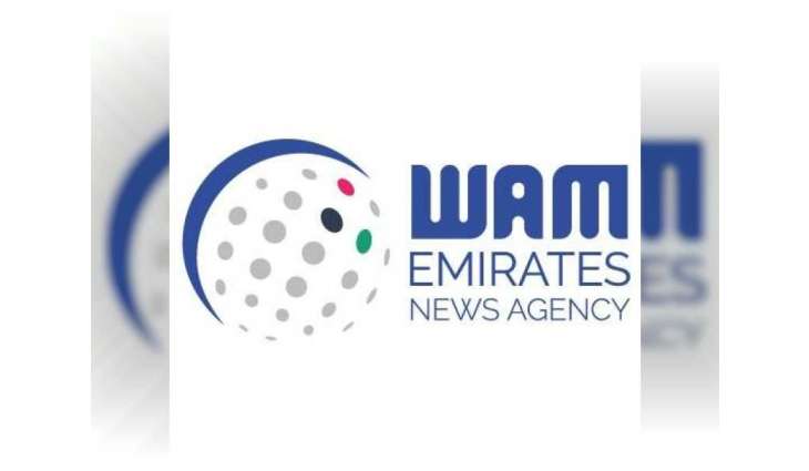 Houthis loot 65 percent of humanitarian aid: Yemeni Minister tells WAM
