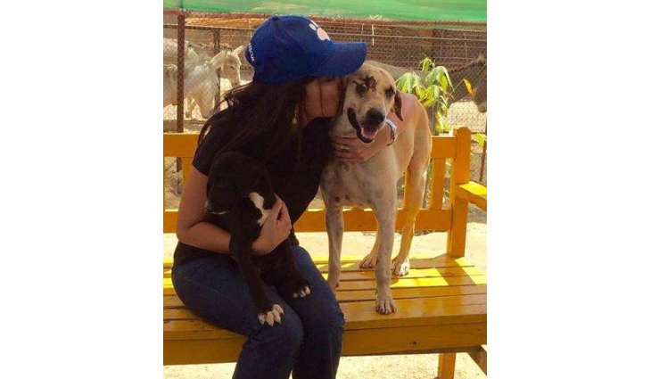 Anoushey Ashraf writes heart-warming note about animal love
