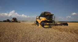 Russia to Harvest Up to 110 Mln Tonnes of Grain in 2019 - Agriculture Minister