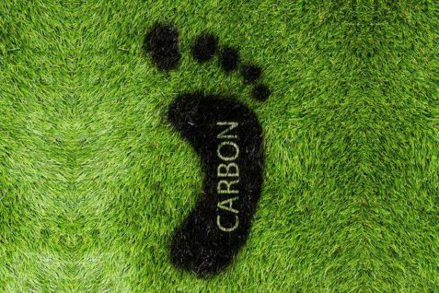 Dubai Municipality uses nanotechnology in paints to reduce carbon footprint