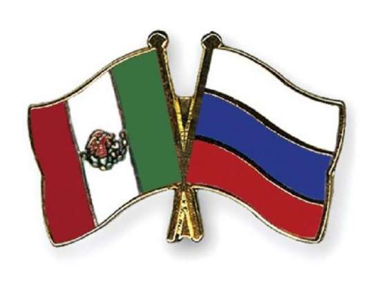 Russia-Mexico Ties Strong Regardless of Government in Power - Ambassador to Moscow