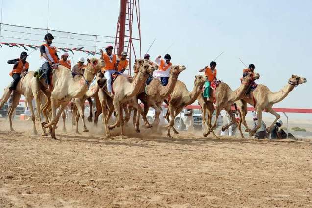 Supreme Organising Committee of Sultan bin Zayed Heritage Festival announces opening date for registration