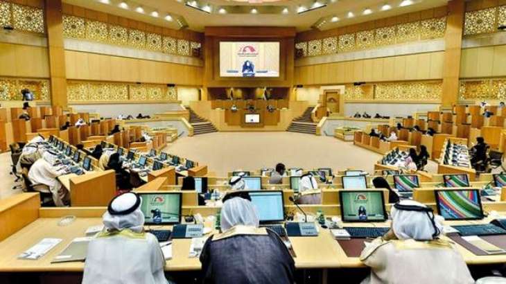 FNC committee discusses draft law on regulating space sector